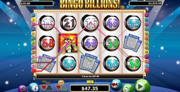 Bingo Billions!: Особые возможности