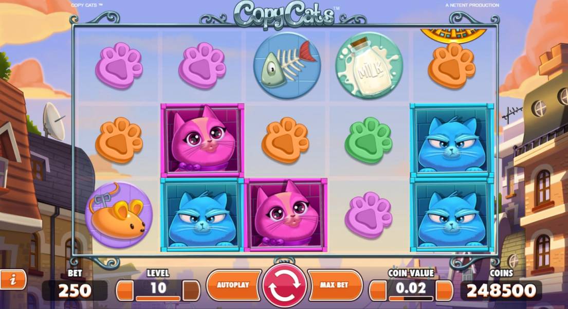 Copy Cats