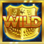 Crack the Bank Hold and Win: Wild