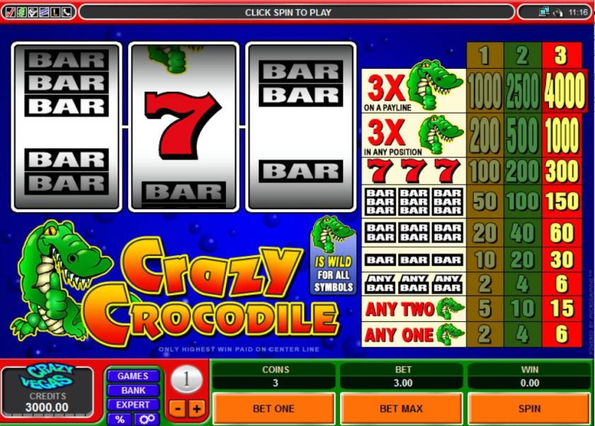 Crazy Crocodile