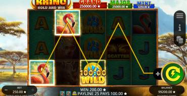 Rhino Hold and Win: Выигрыши