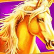 Stallion Kingdom: Лошадь