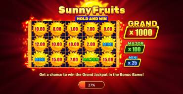 Sunny Fruits: Hold and Win: Особенности